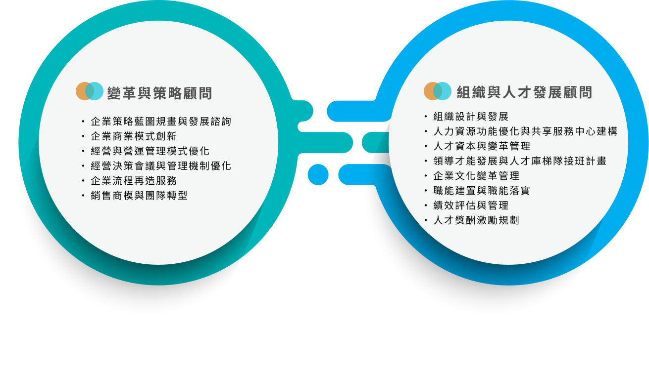 變革與策略顧問諮詢類型